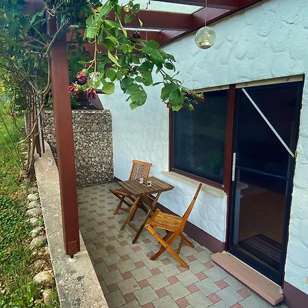 Gemuetliche Wohnung Mit Neckarblick إبرباخ المظهر الخارجي الصورة